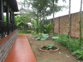 IMG_6870-718682.JPG