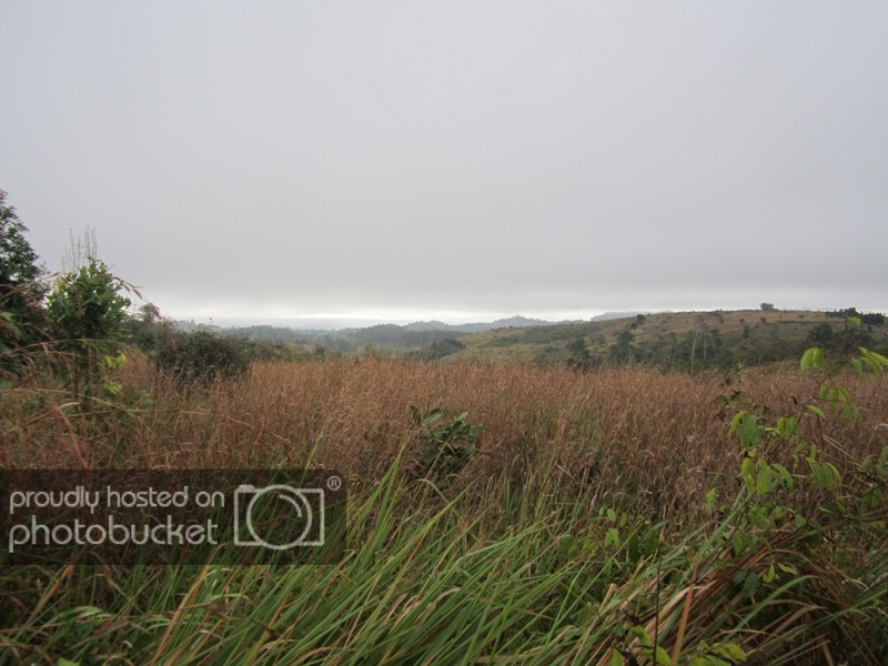 0963_zps72347c48.jpg