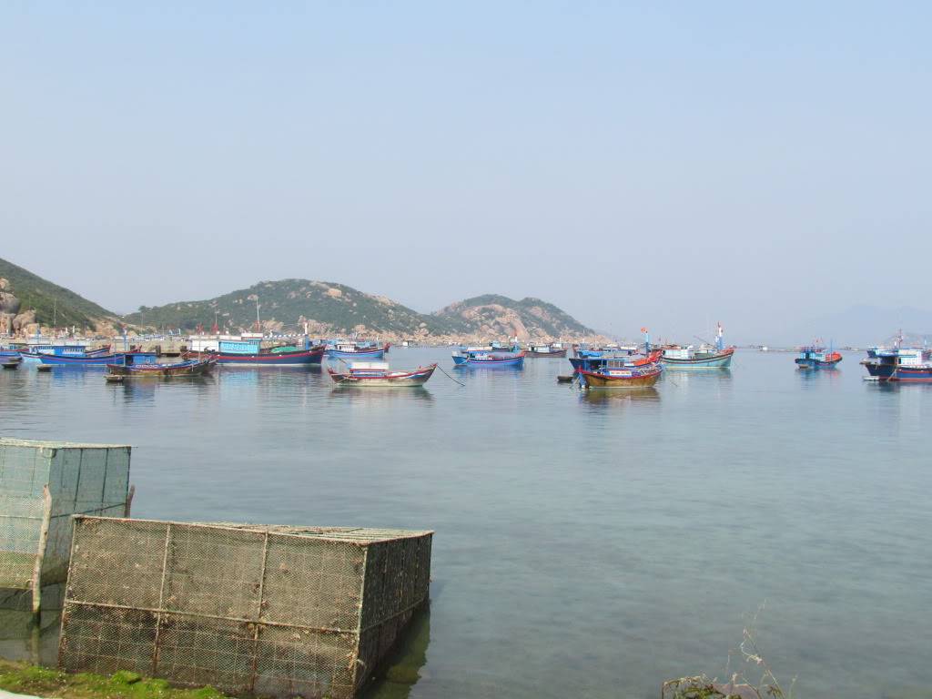 IMG_2364.jpg