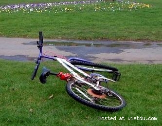 243469ed1fe6f25d.jpg