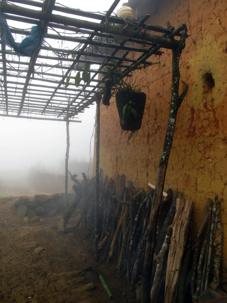 HongNgai2011277.jpg