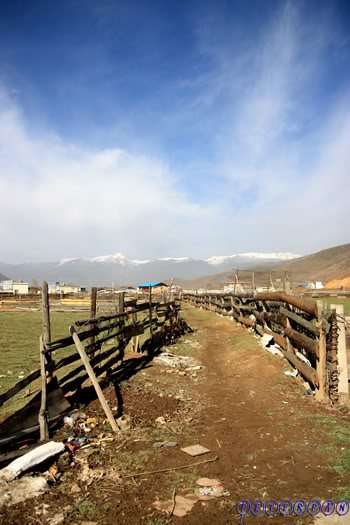 shangri-la123.jpg