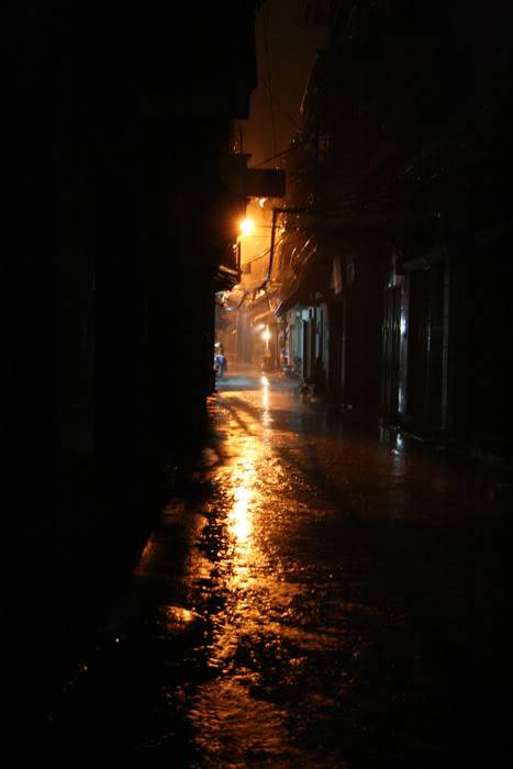 ngo-nha-cungvivu.jpg