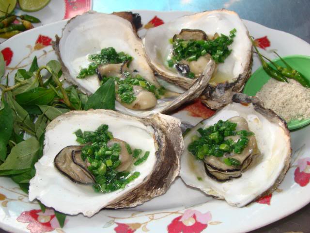 DSC00646.jpg