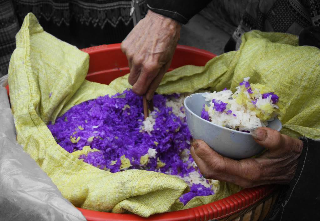 BacHa-Simacai061.jpg