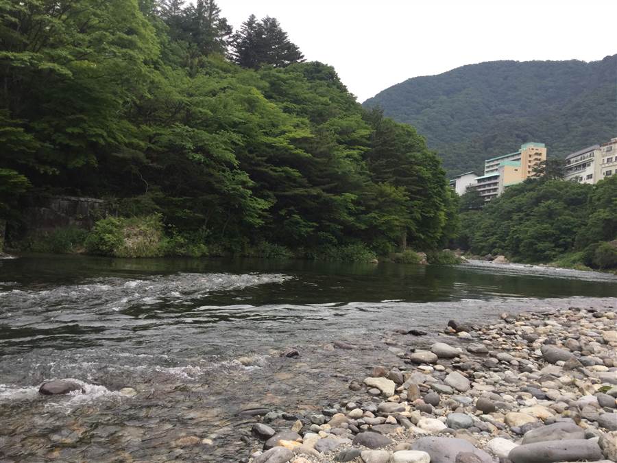 resized_IMG_0049_zpszakzvabi.jpg