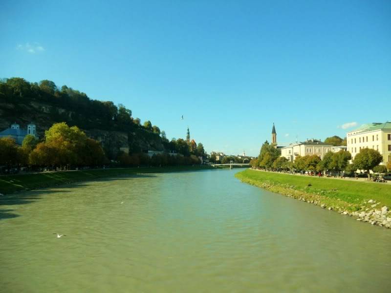 DSCN5022.jpg