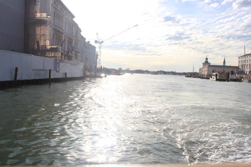 IMG_1367_zpsa4da393c.jpg
