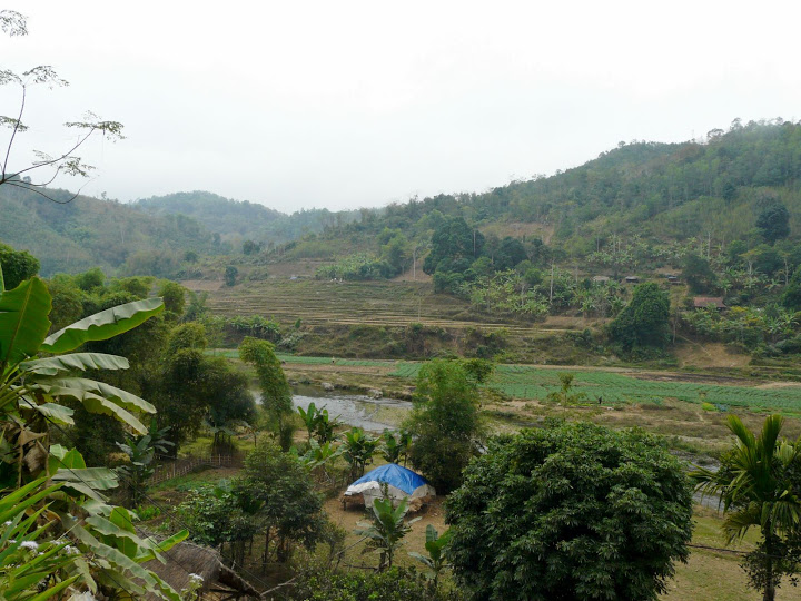 P1050496.JPG