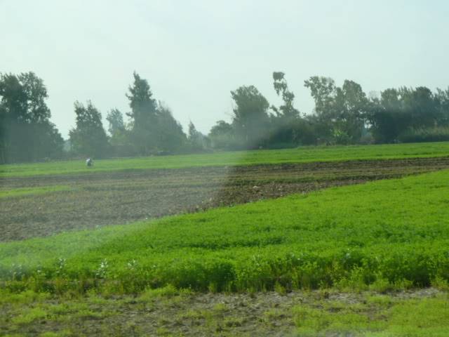 L1020134.jpg
