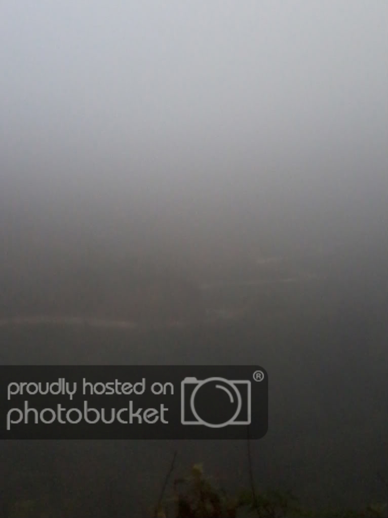 2012-01-24135012-1.jpg
