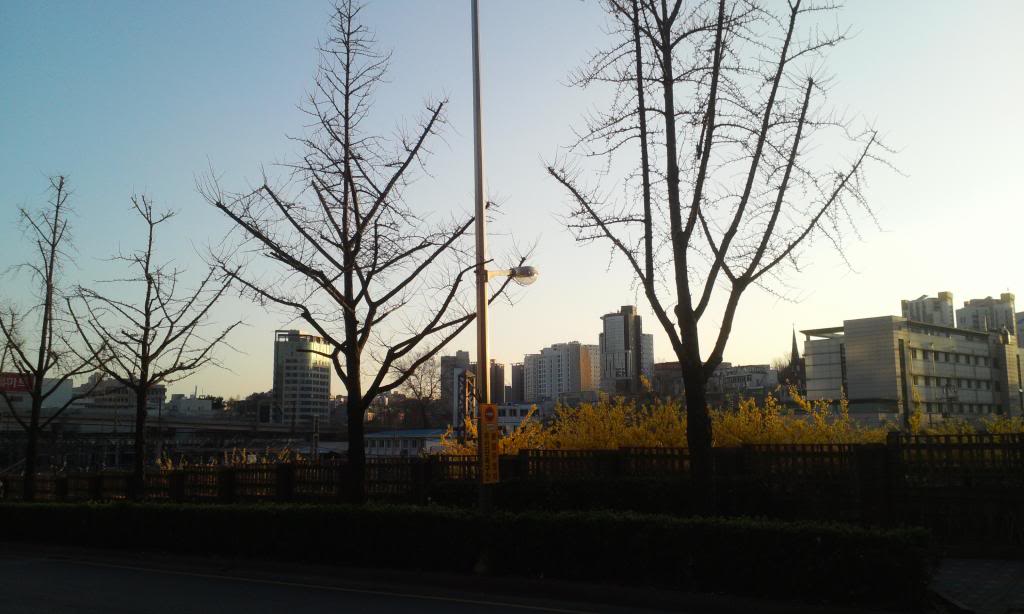 IMG_20130407_182419.jpg