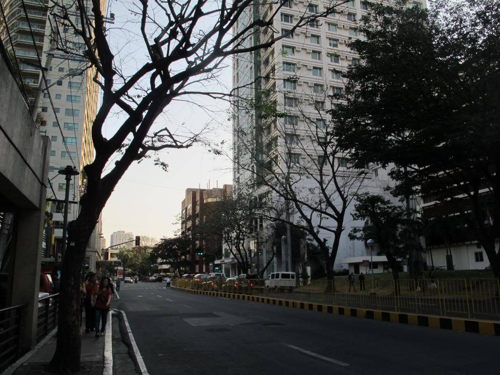 IMG_8159_zps1af36428.jpg