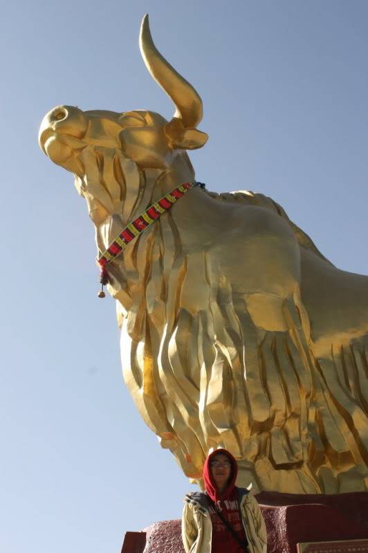 Copyofbieu20tuong20cua20lhasa.jpg