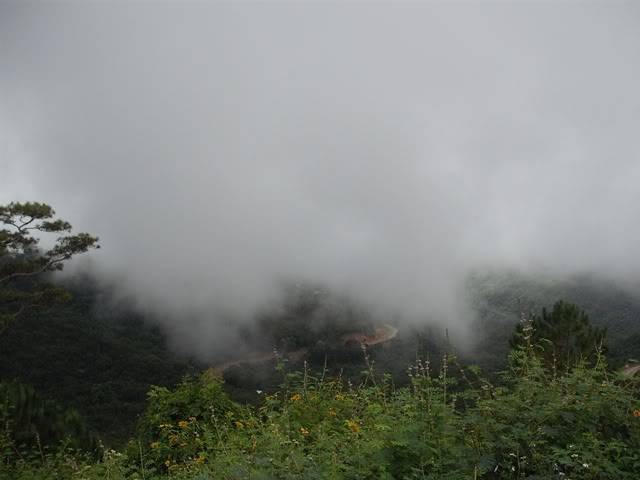 DSCF3208.jpg