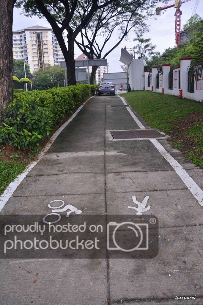 DSC_0035a.jpg