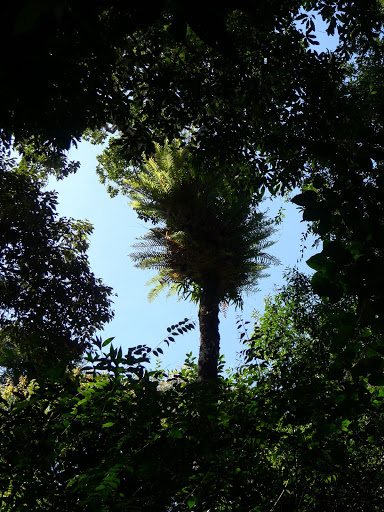 P1050263.jpg