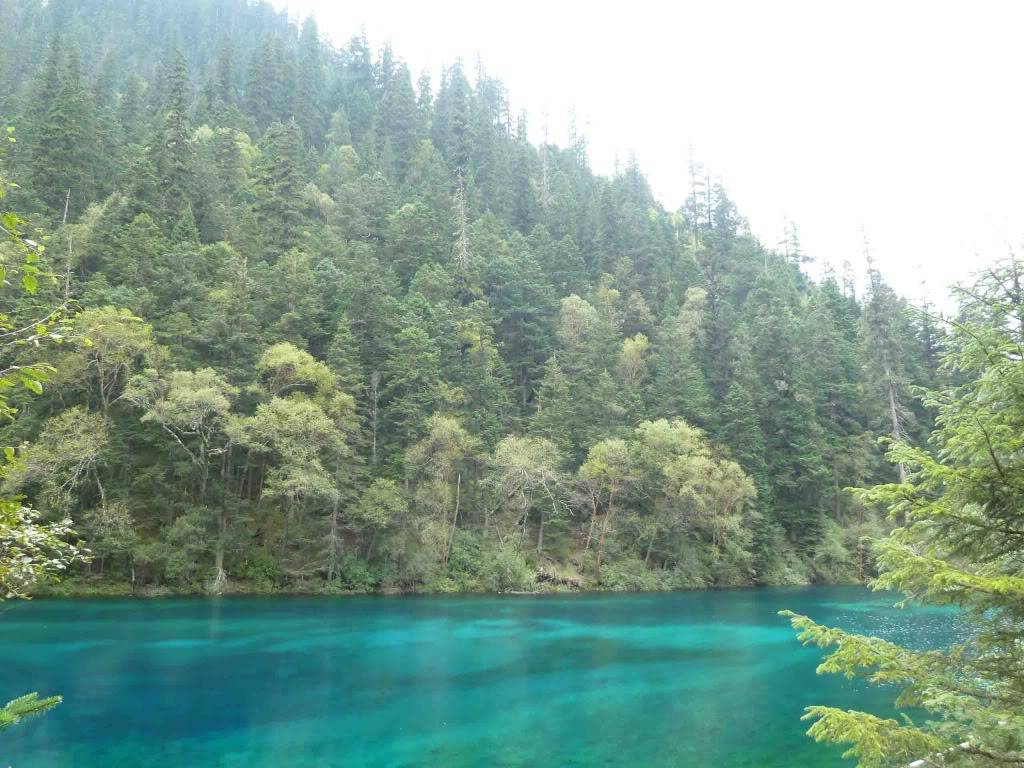 L1040824.jpg