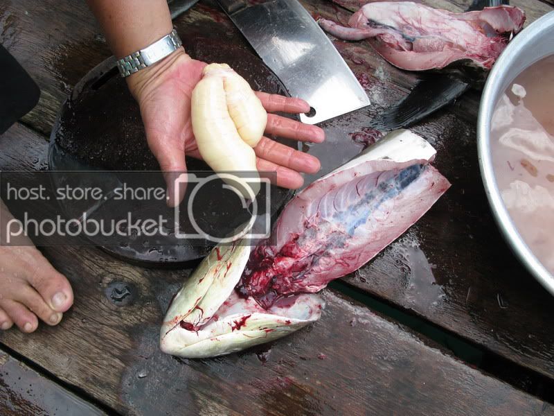 PhuQuoc09_541.jpg