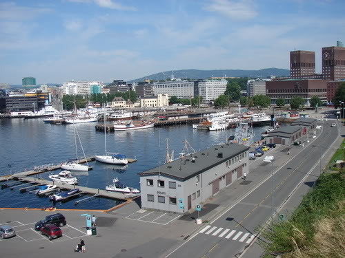 DSC08211.jpg