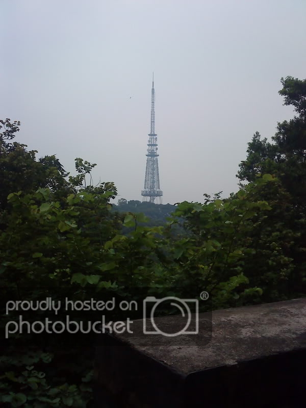 DSC00494.jpg