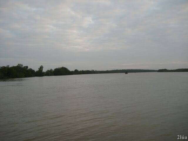 IMG_1065.jpg