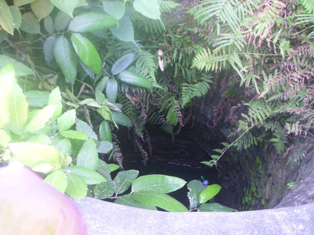 DSCN5602_zpsa7fe99bb.jpg