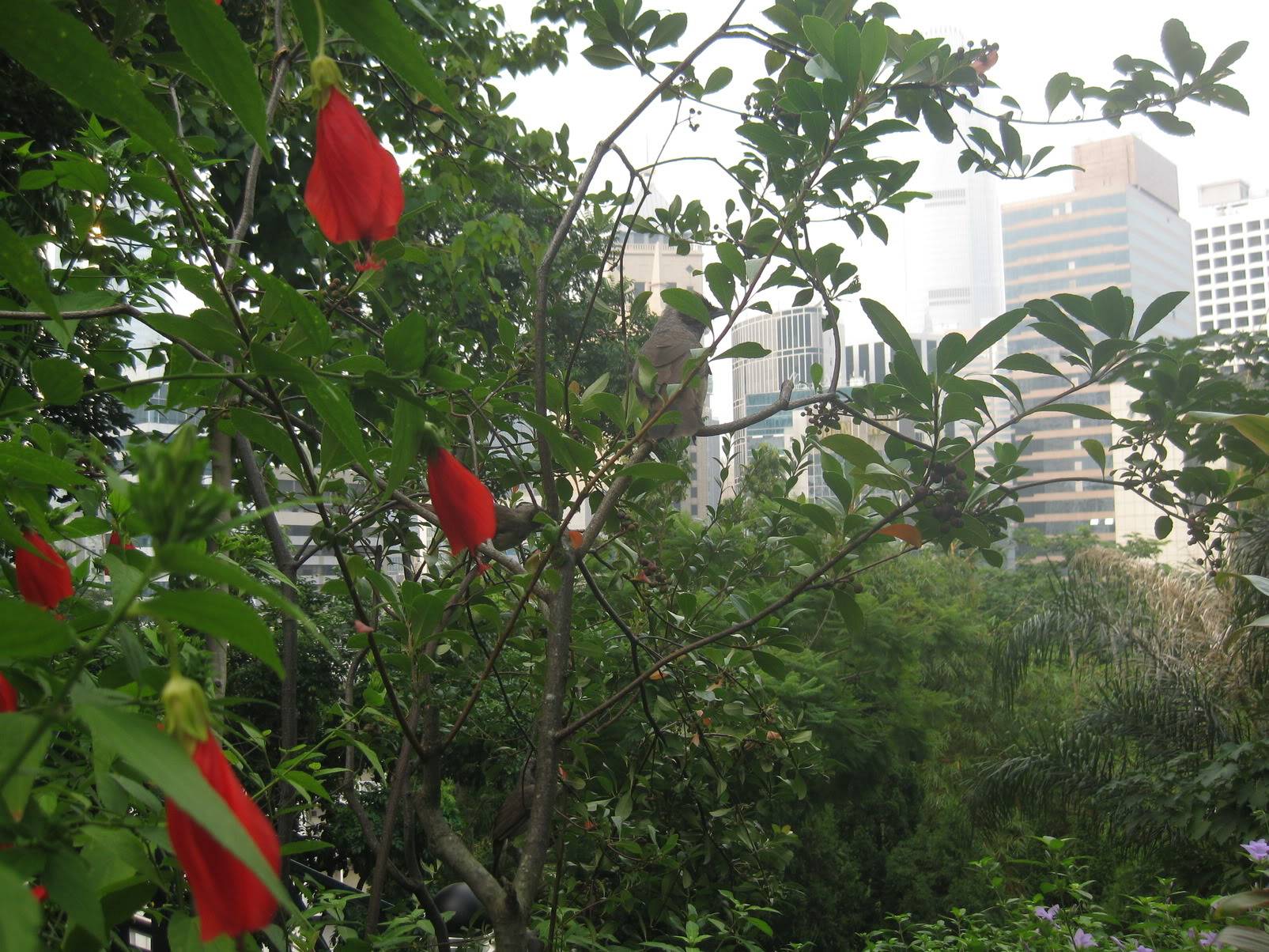 IMG_0169.jpg