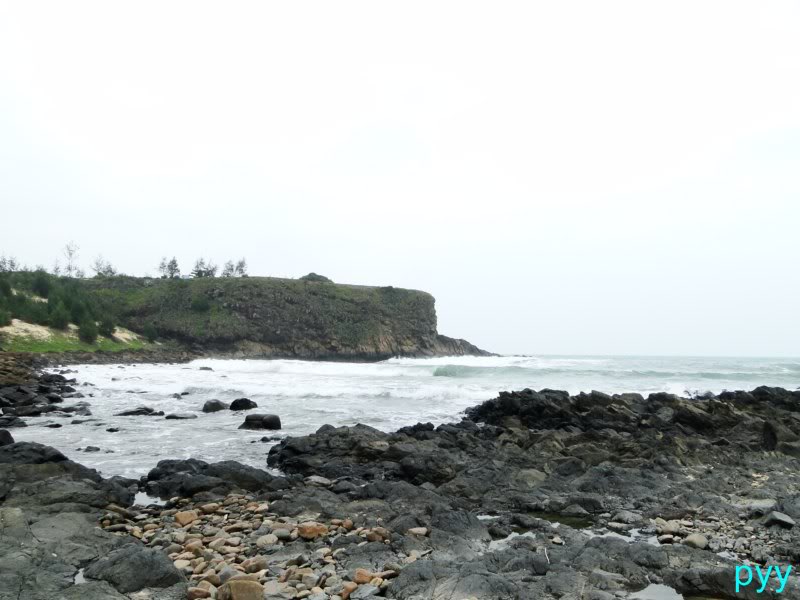DSC04630800x600.jpg