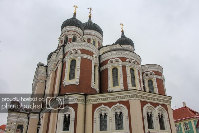 IMG_7635.jpg