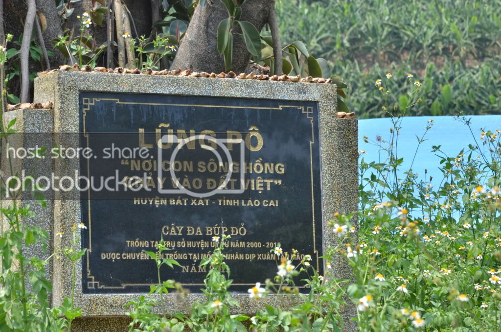 DSC_2010.jpg