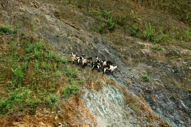 DSC_3948.jpg