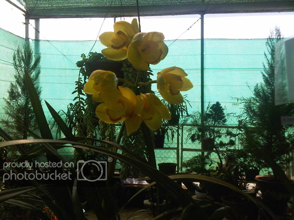 IMG-20111122-00166.jpg