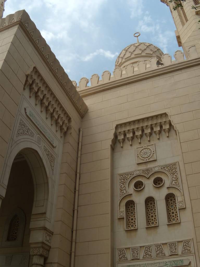 DSCN6175.jpg