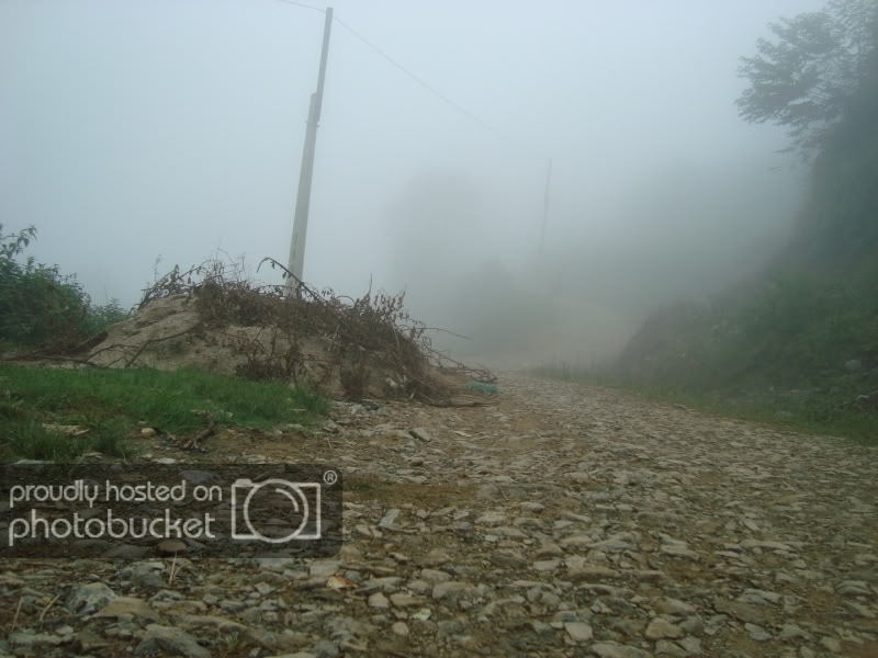 DSC08440.jpg