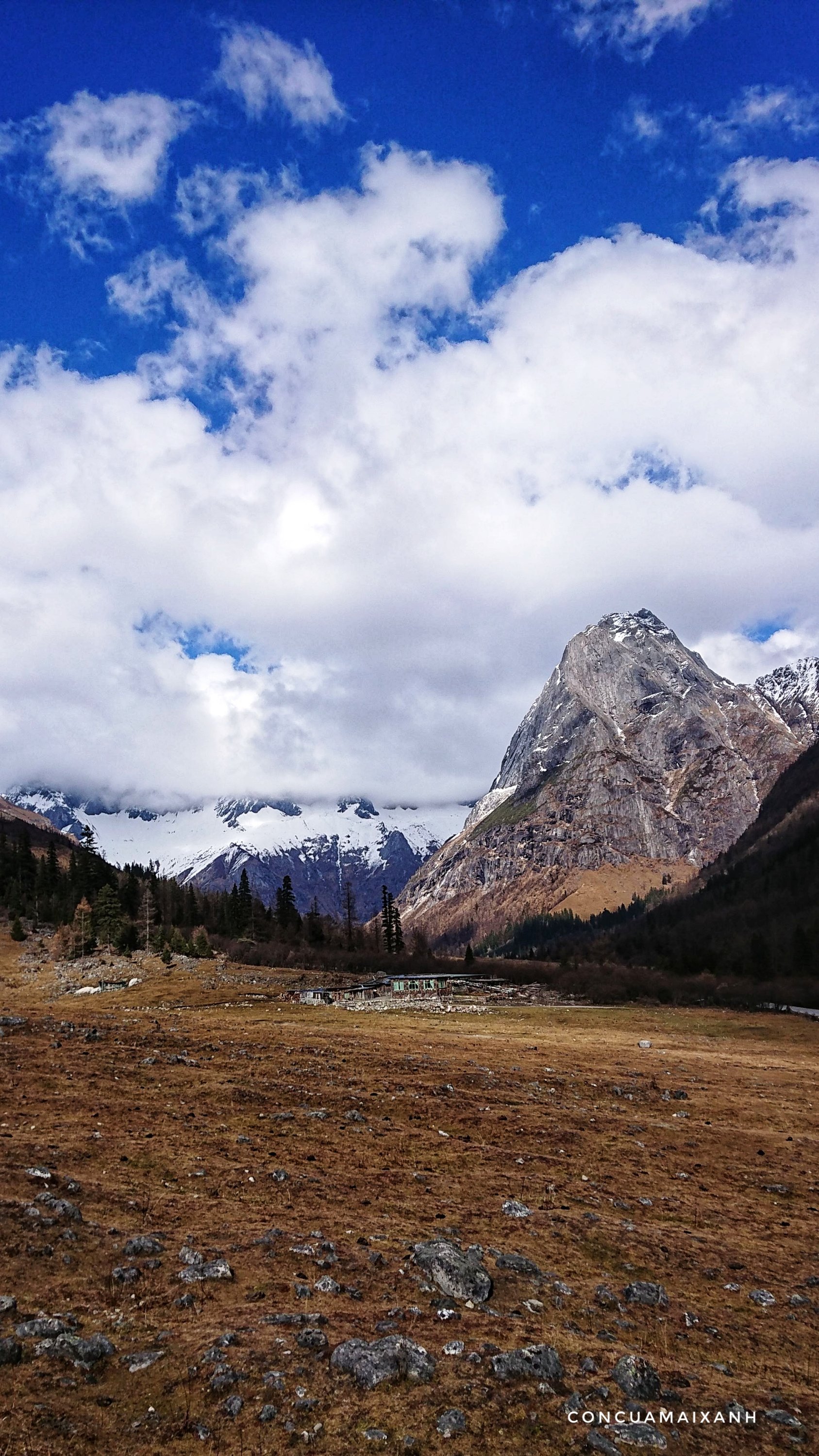 dsc_0791-014287746651231104419.jpeg