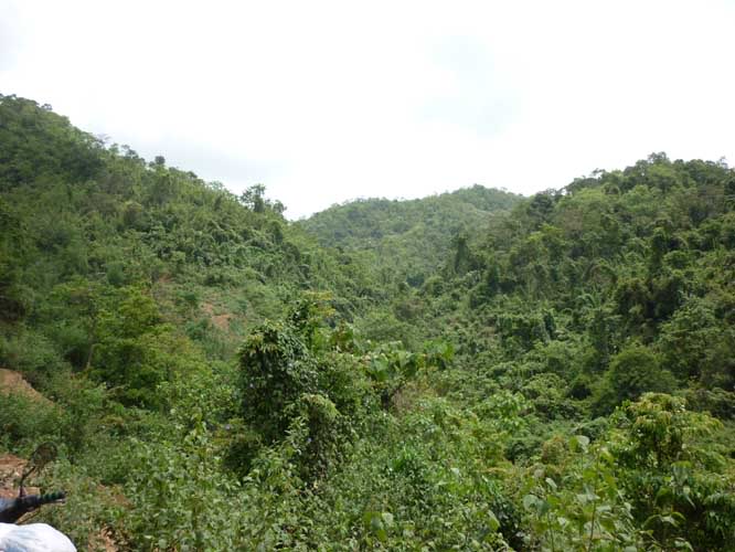 P1300719.jpg