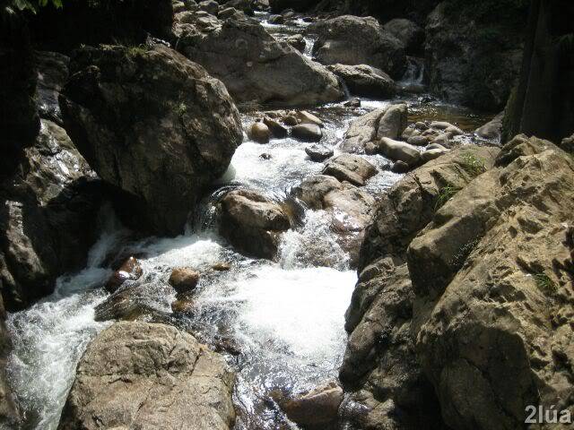 IMG_1014.jpg