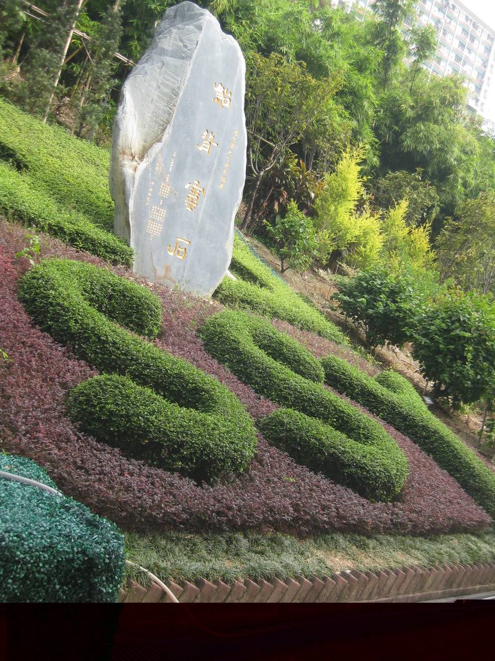 IMG_0337.jpg