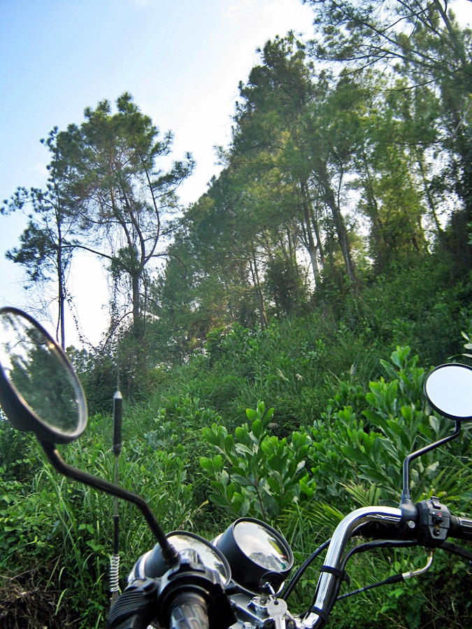soithong1.jpg