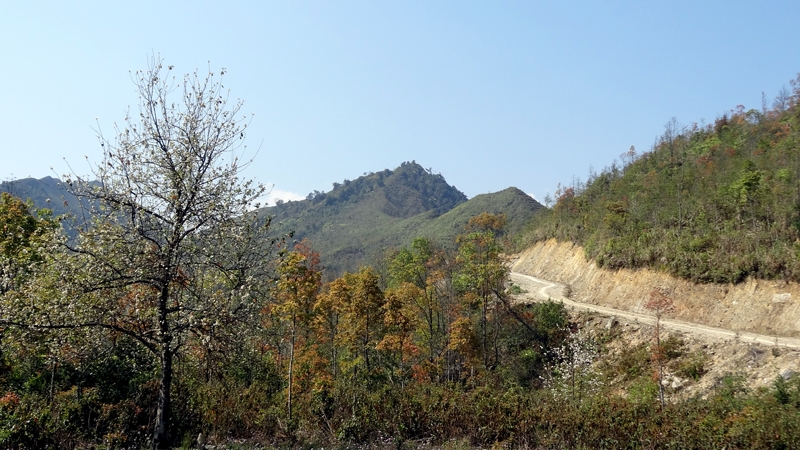 DSC09255_zps4e209c4a.jpg