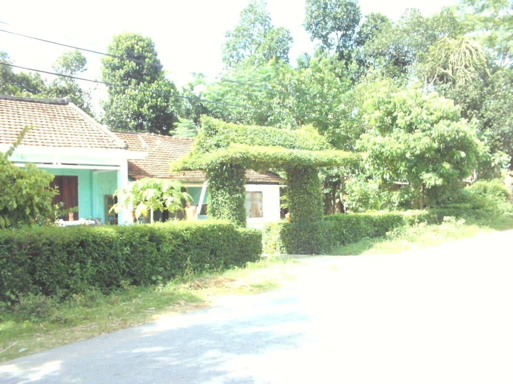 PICT0449.jpg