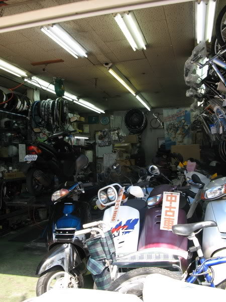 IMG_0931_resize.jpg