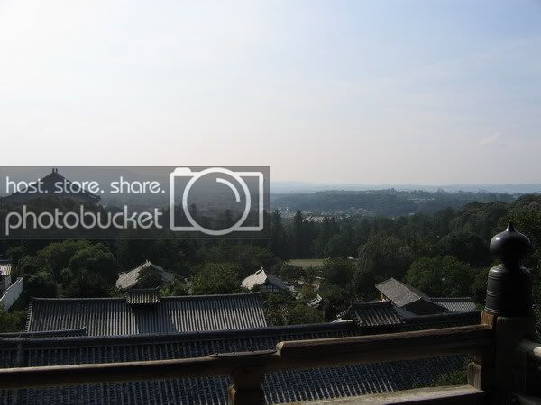 IMG_0747_resize.jpg