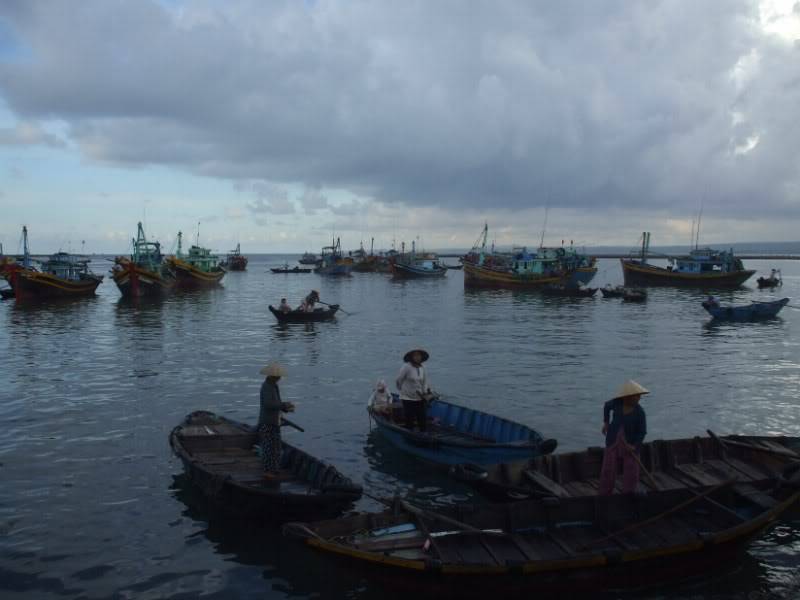 DSCF7338.jpg