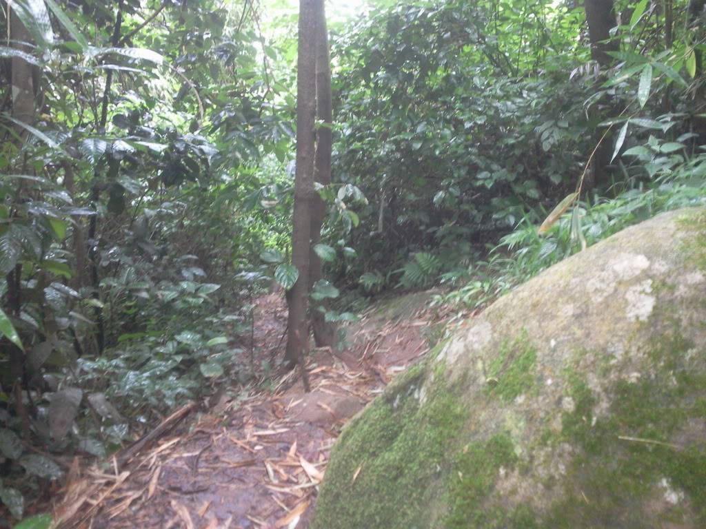 Photo0815.jpg