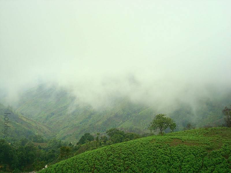 DSC08041-1.jpg