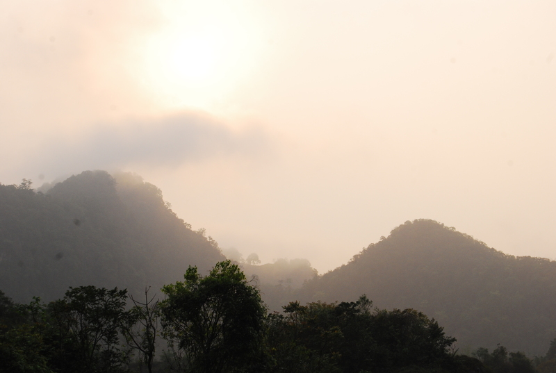 dsc7616d.jpg