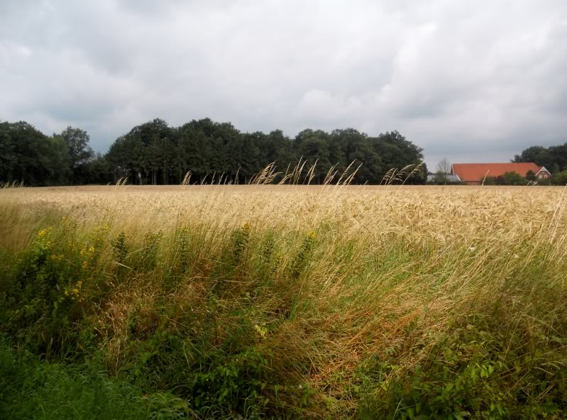 DSCN8758.jpg