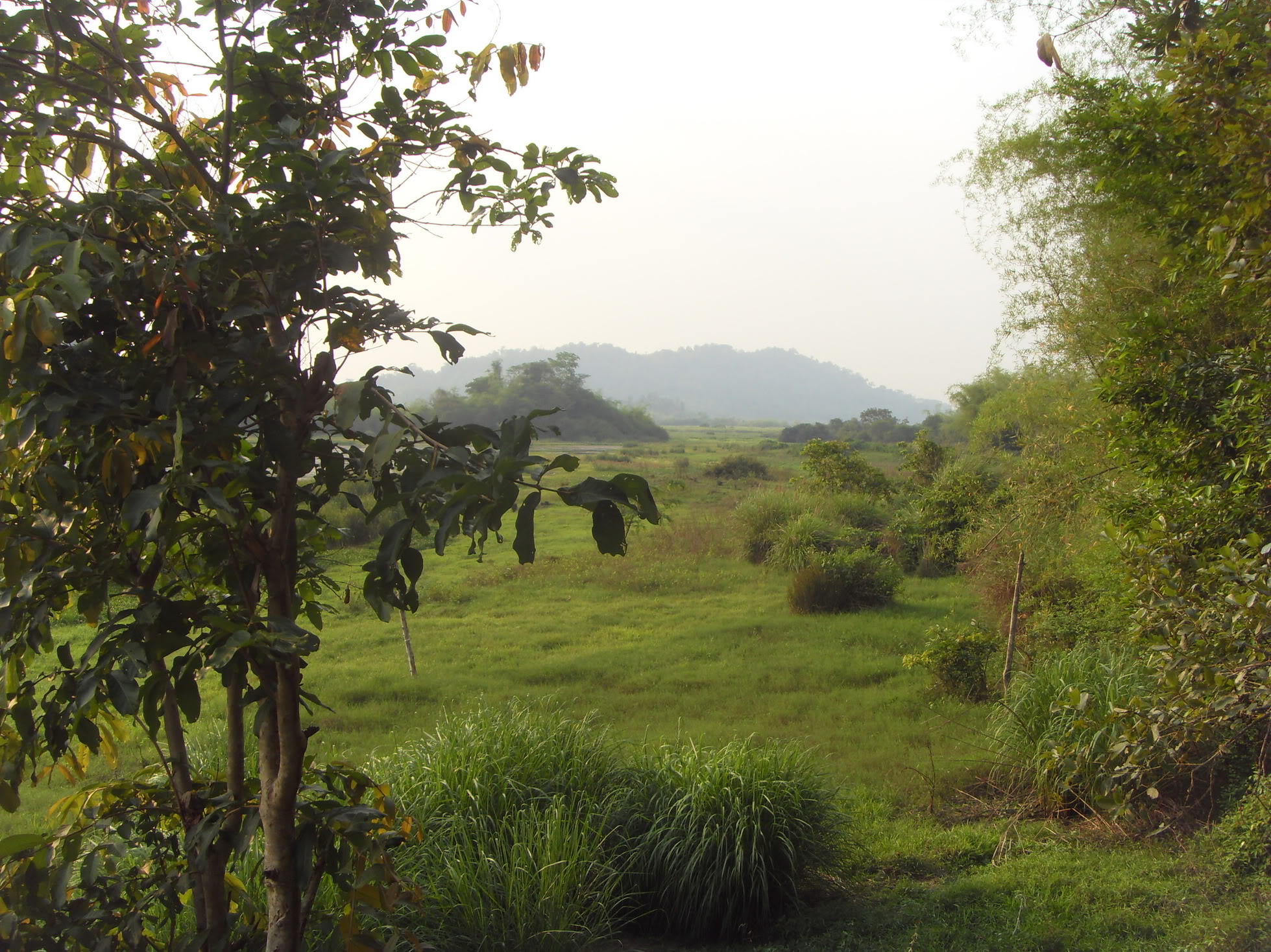 SDC11002.jpg